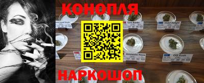 альфа пвп Волгодонск
