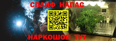 альфа пвп Волгодонск