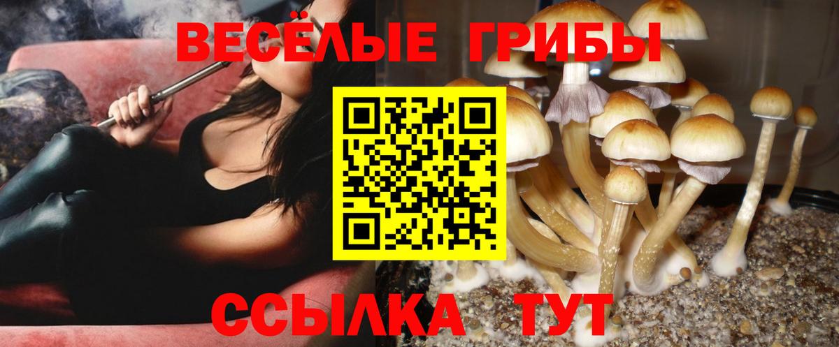 Псилоцибиновые грибы ЛСД  Вход с VPN  Копейск 